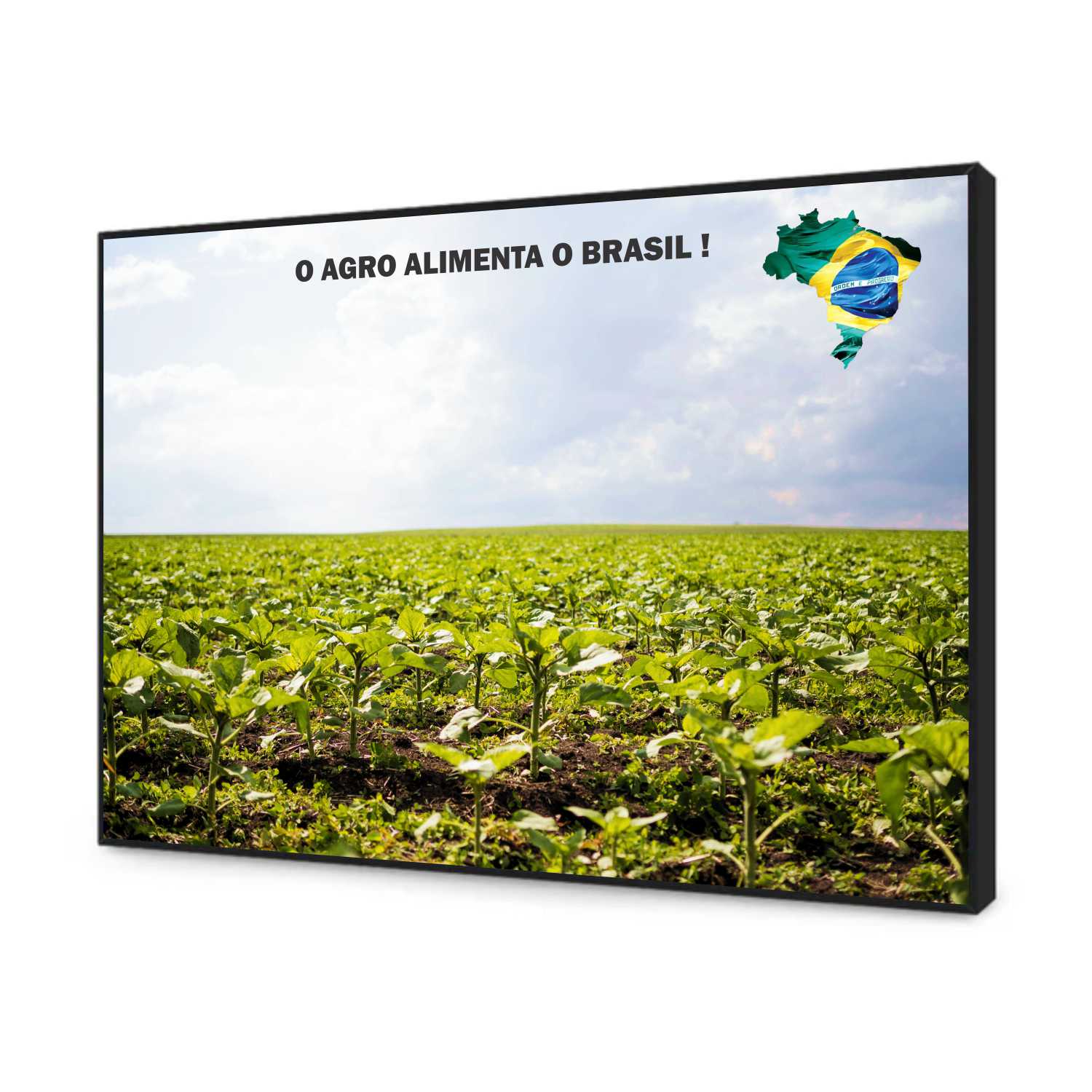 Quadro Decorativo Agro Alimenta o Brasil Plantação