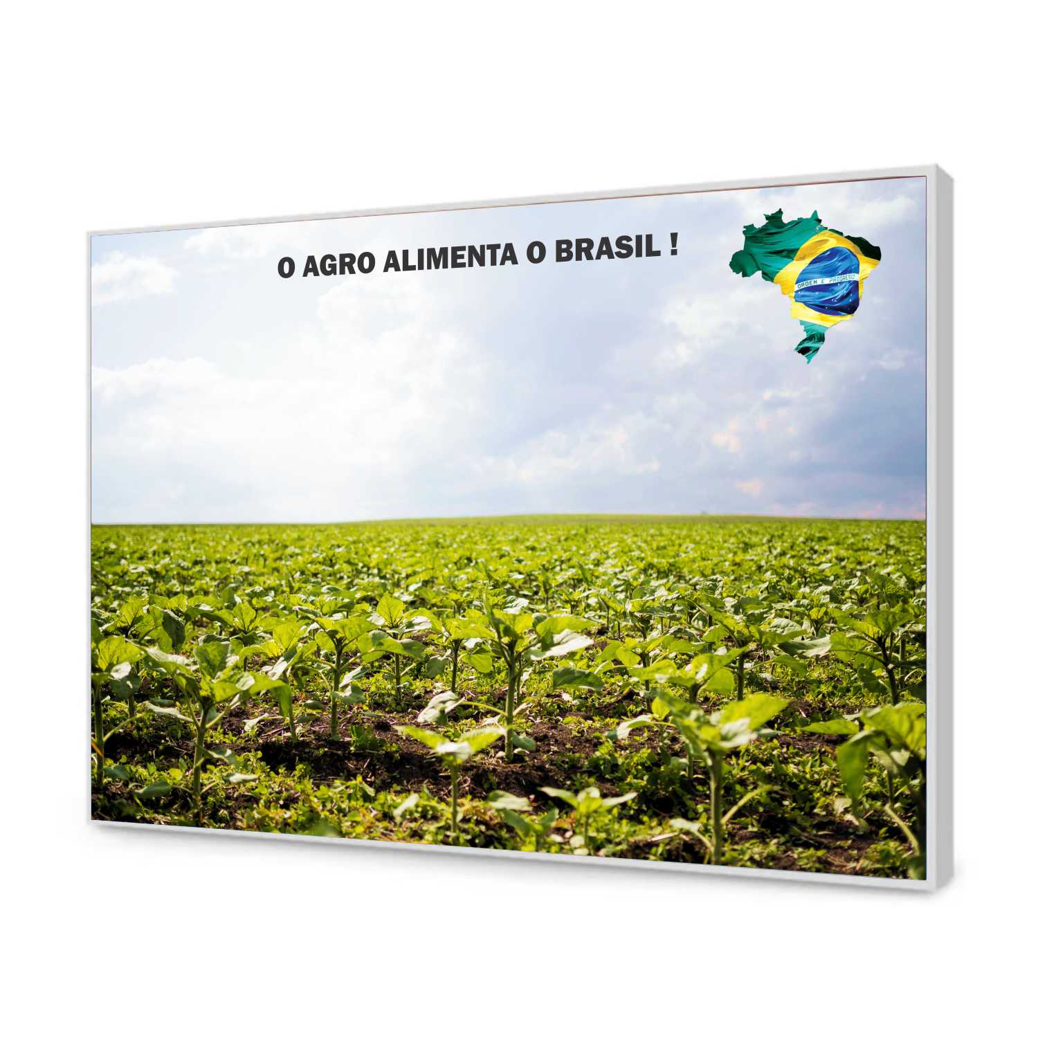 Quadro Decorativo Agro Alimenta o Brasil Plantação