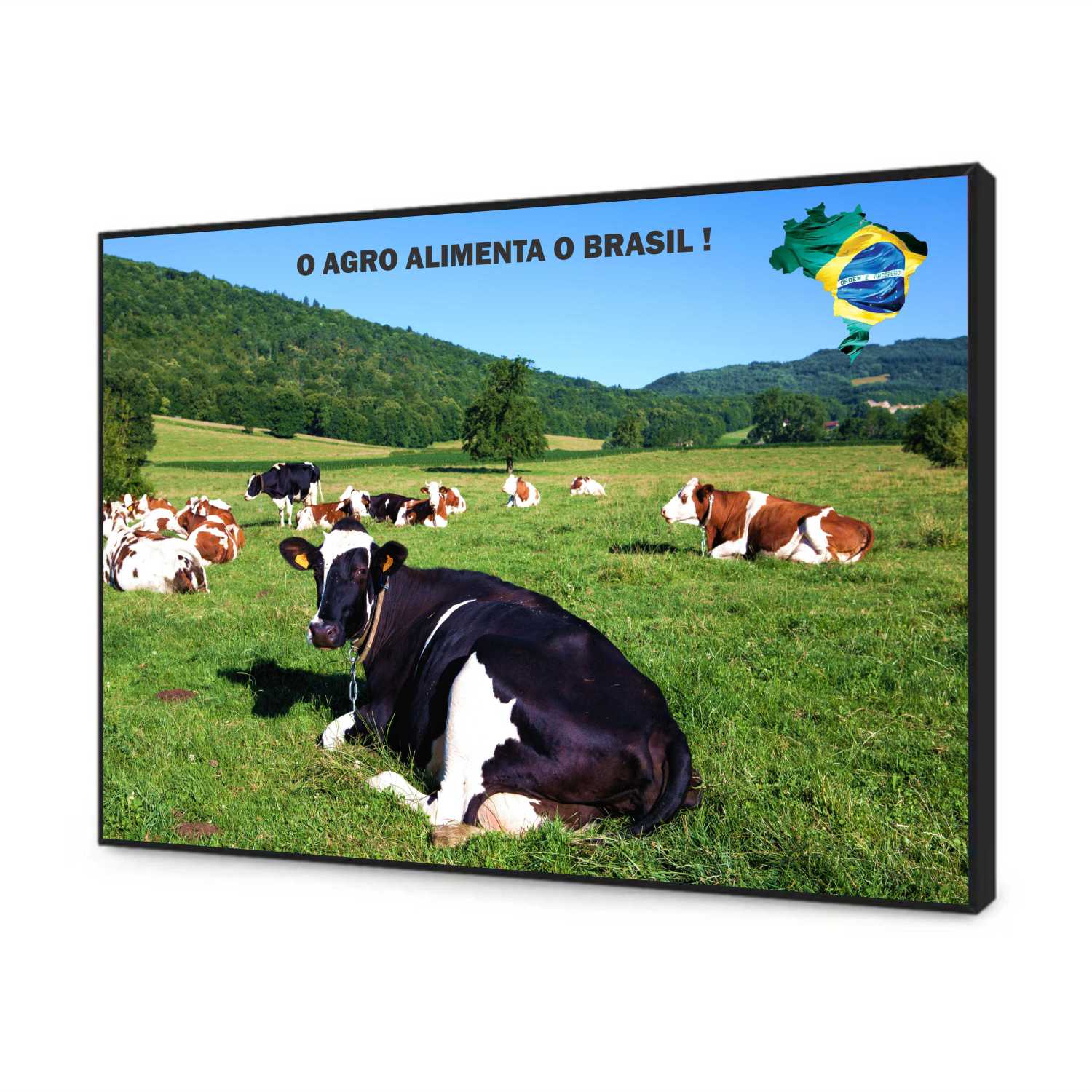 Quadro Decorativo Agro Alimenta o Brasil Gado