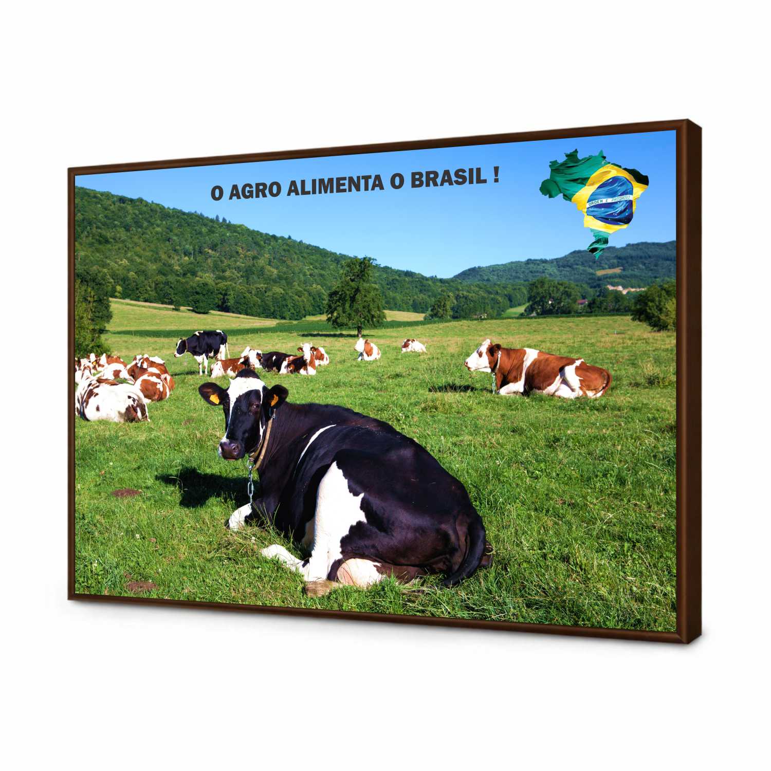 Quadro Decorativo Agro Alimenta o Brasil Gado