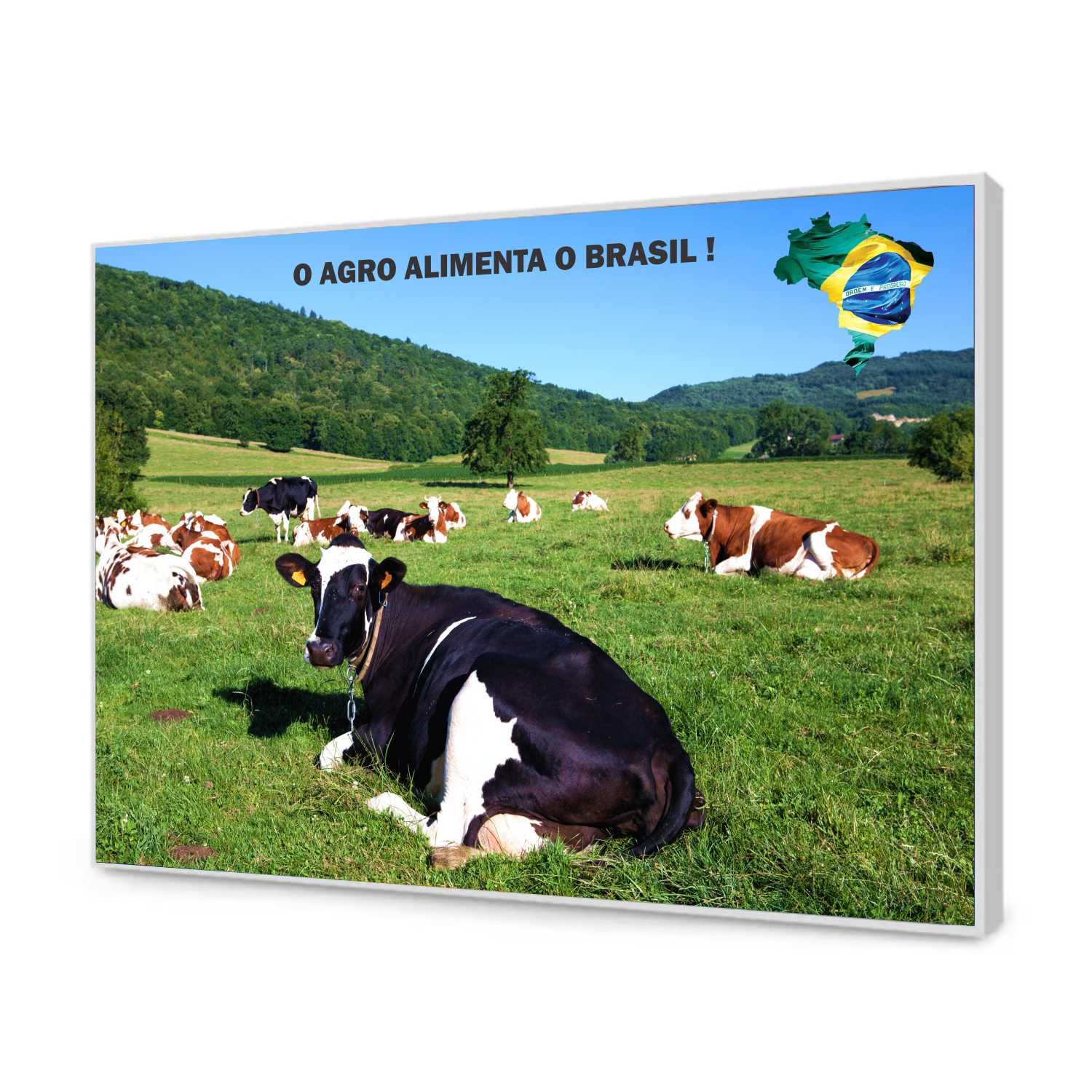 Quadro Decorativo Agro Alimenta o Brasil Gado