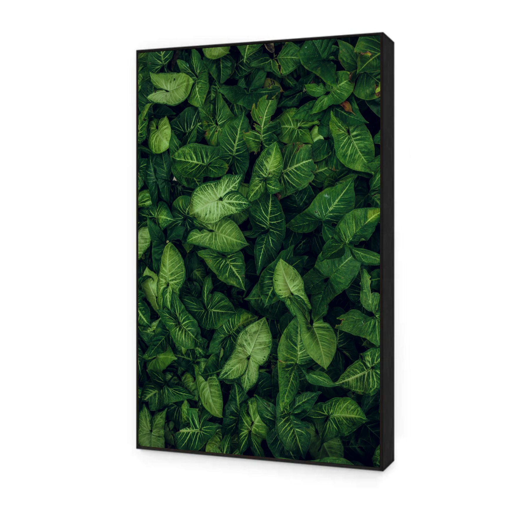 Quadro Decorativo Folhas Tropicais Moderno Biofílico