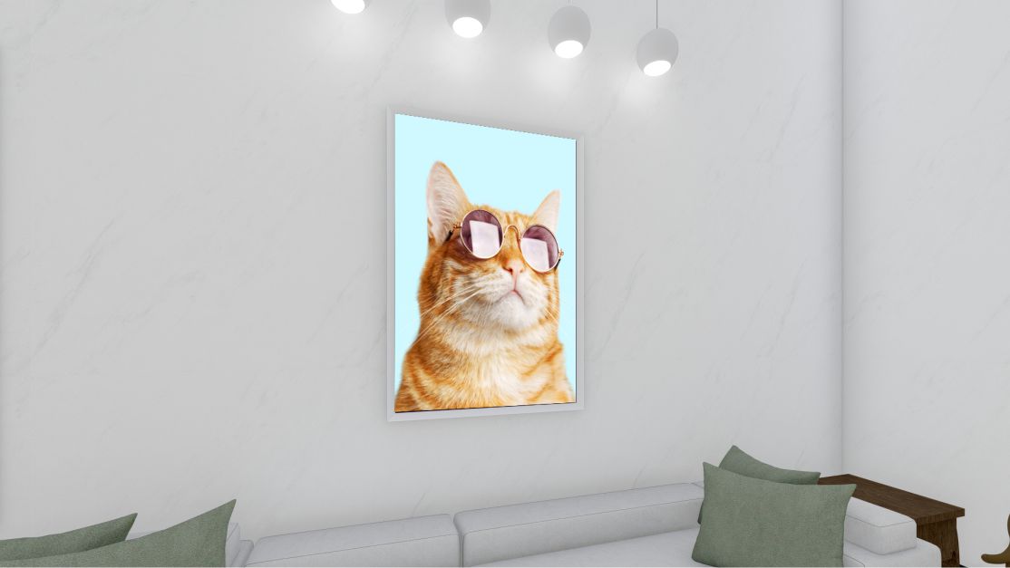 Quadro Decorativo Gato de Óculos em Adesivo com Moldura Caixa