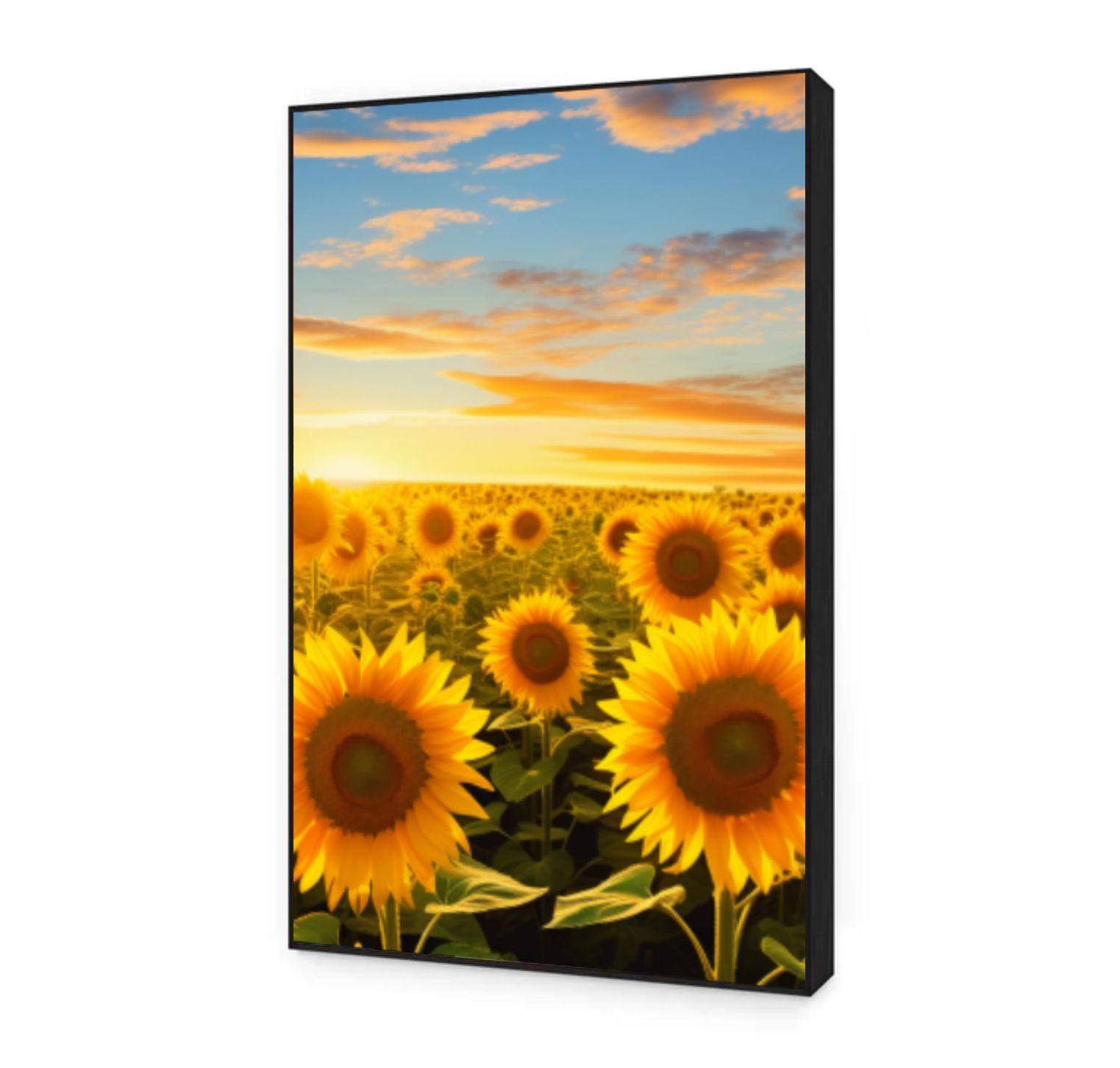 Quadro Decorativo Girassol Trio em Canvas Moldura Negativa