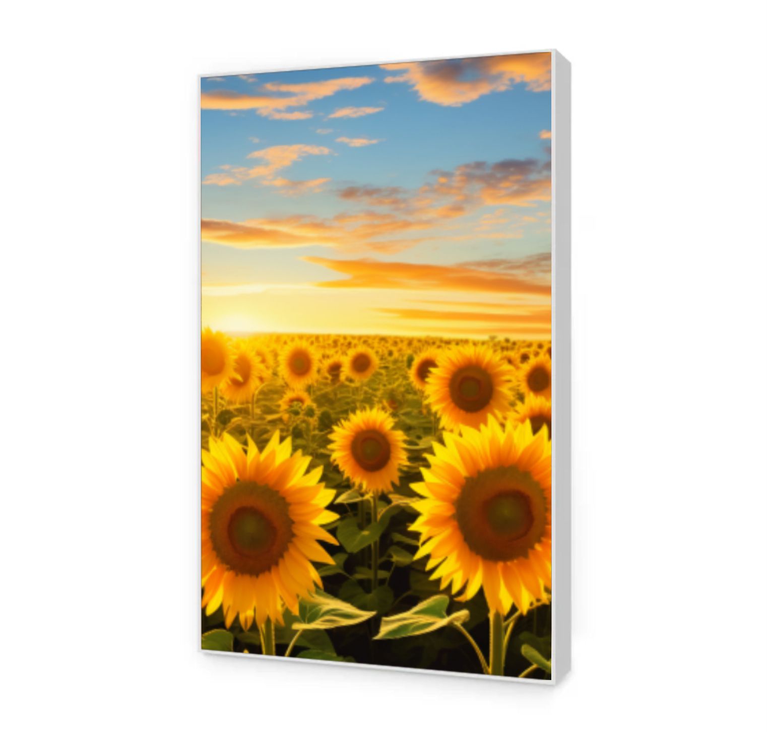 Quadro Decorativo Girassol Trio em Canvas Moldura Negativa