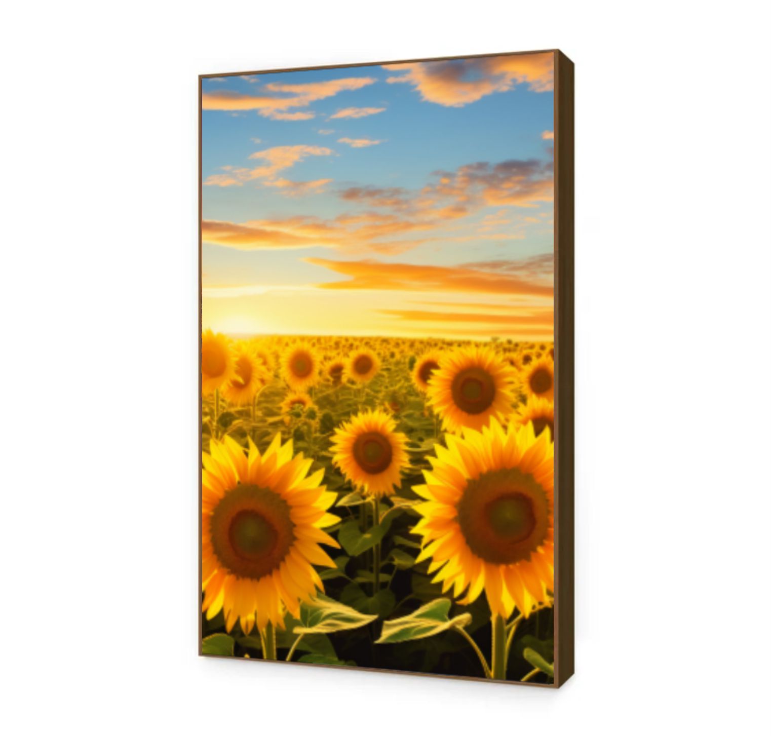 Quadro Decorativo Girassol Trio em Canvas Moldura Negativa