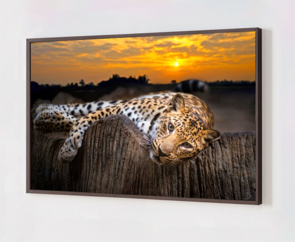 Quadro Decorativo Onça Pintada em Adesivo com Moldura Caixa