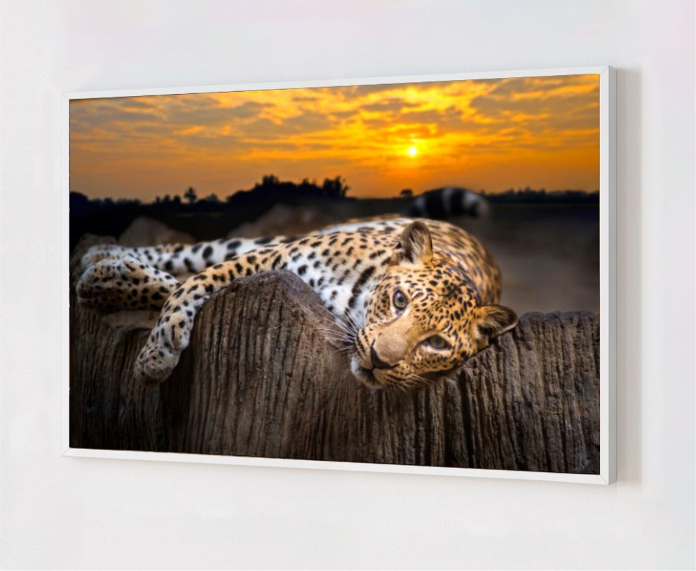 Quadro Decorativo Onça Pintada em Adesivo com Moldura Caixa