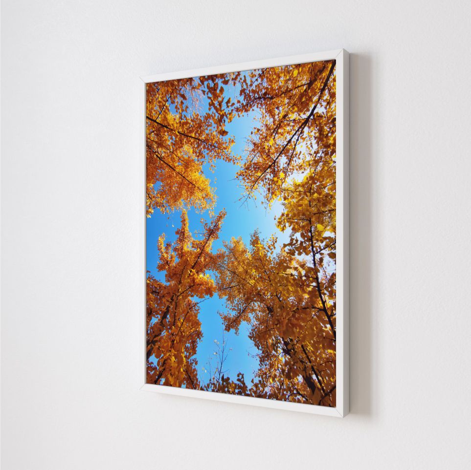 Quadro Decorativo Primavera em Adesivo com Moldura Caixa