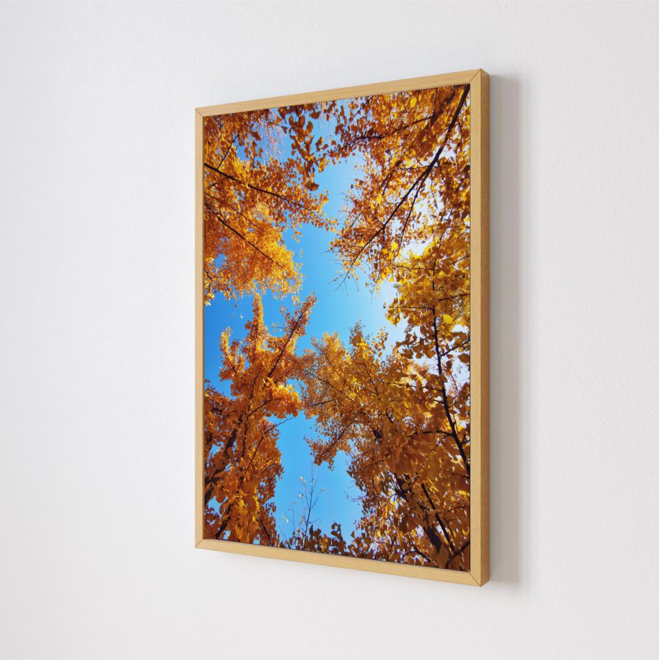 Quadro Decorativo Primavera em Adesivo com Moldura Caixa