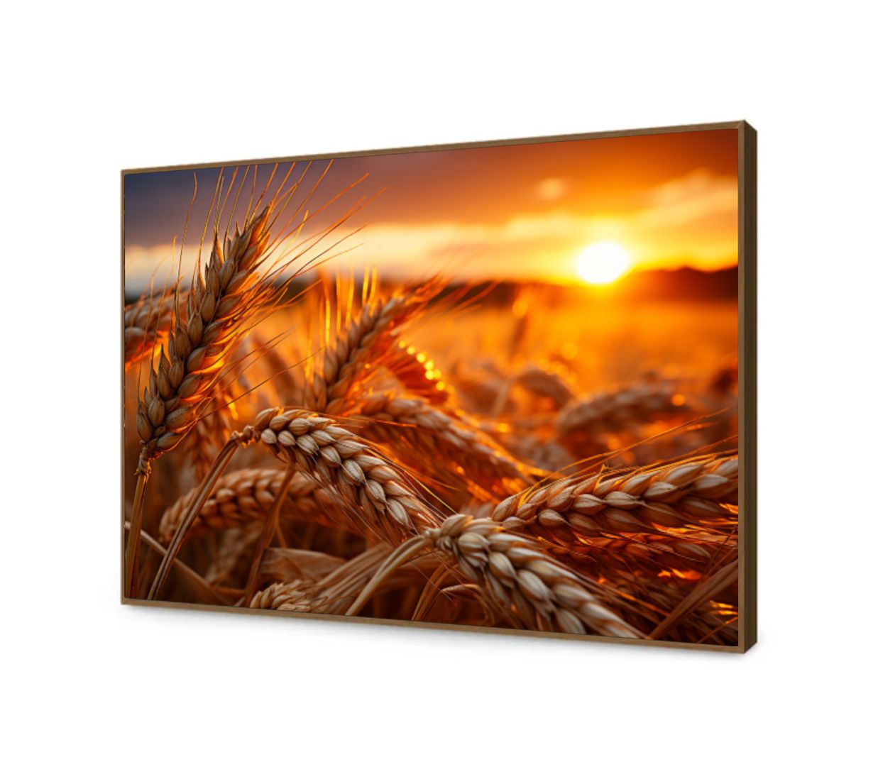 Quadro Decorativo Plantação de Trigo em Canvas Moldura Negativa