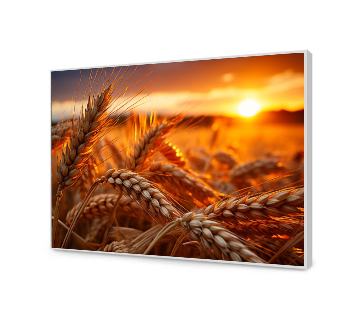 Quadro Decorativo Plantação de Trigo em Canvas Moldura Negativa